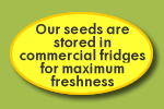 Our seeds are stored in commercial fridges for maximum freshness