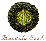 Mandala Seeds Logo