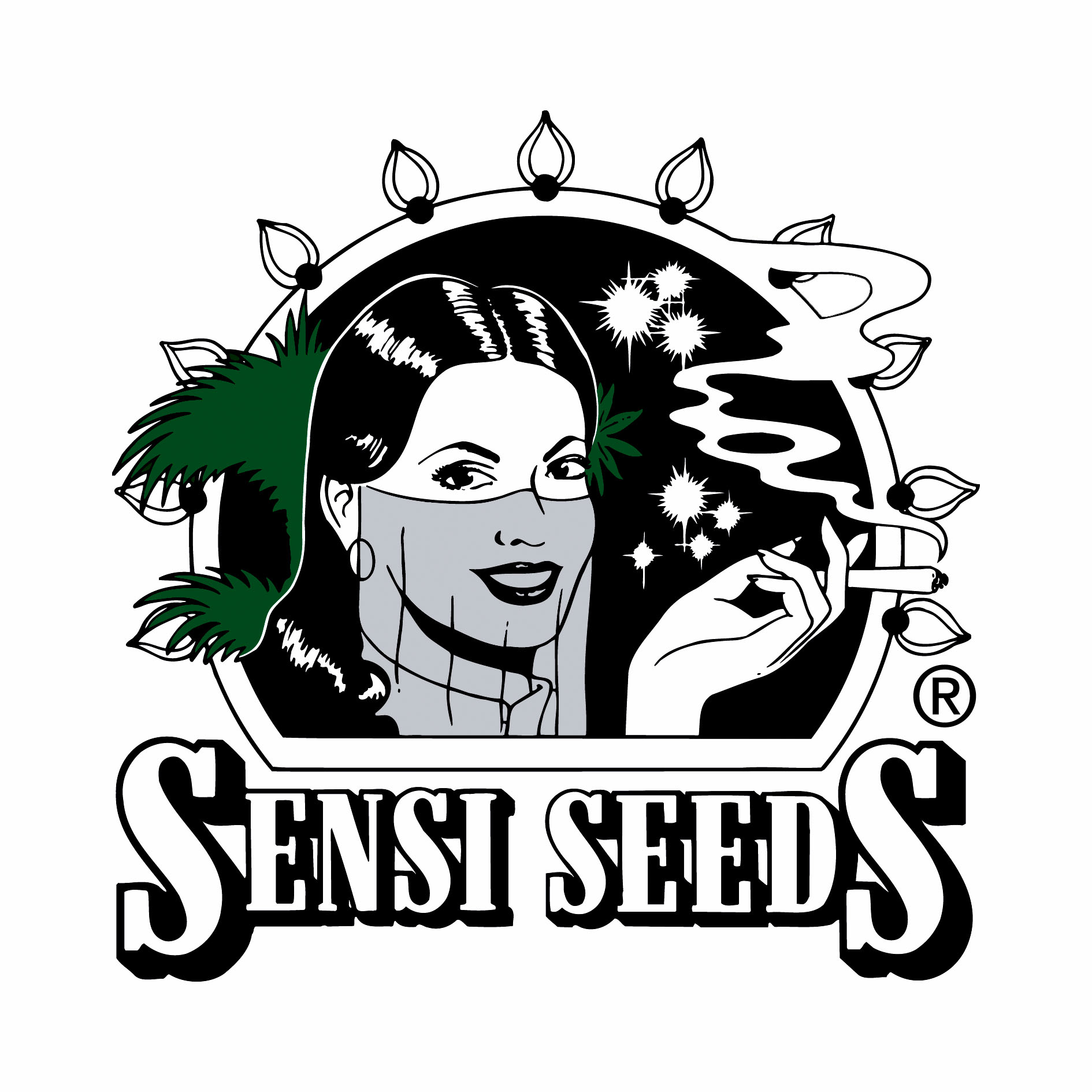 Dinafem Seeds